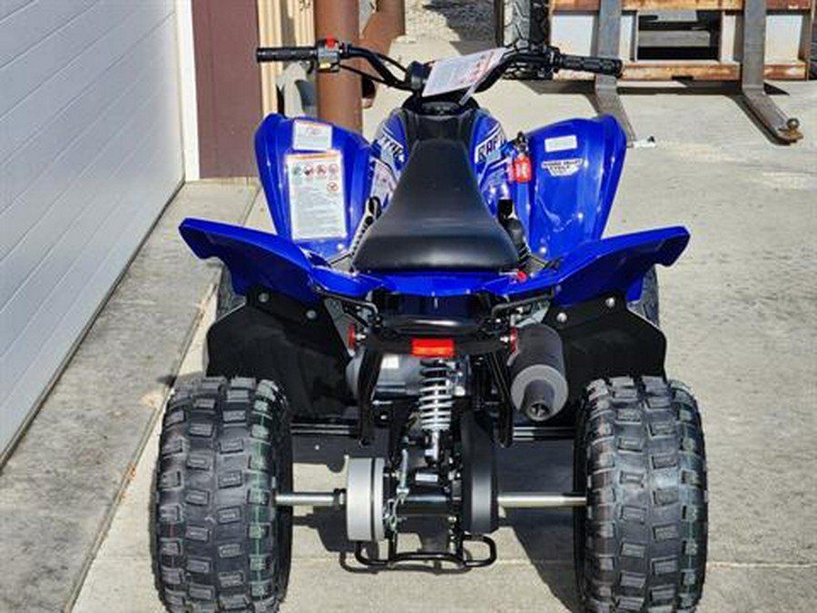 2026 Yamaha Raptor 110