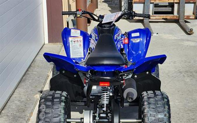 2026 Yamaha Raptor 110