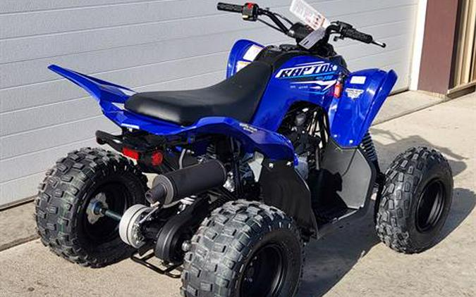 2026 Yamaha Raptor 110