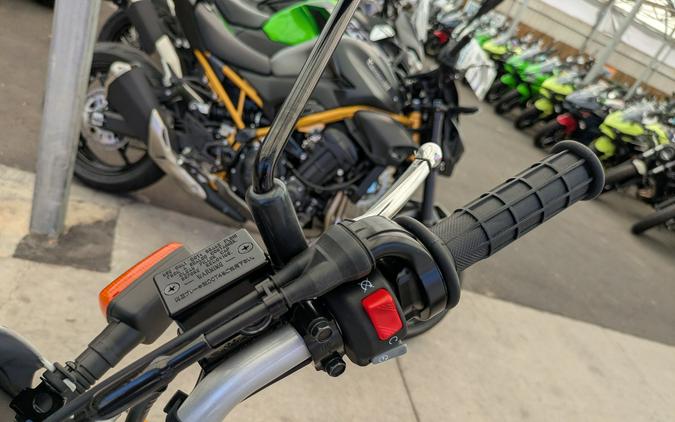 2027 Yamaha TW200