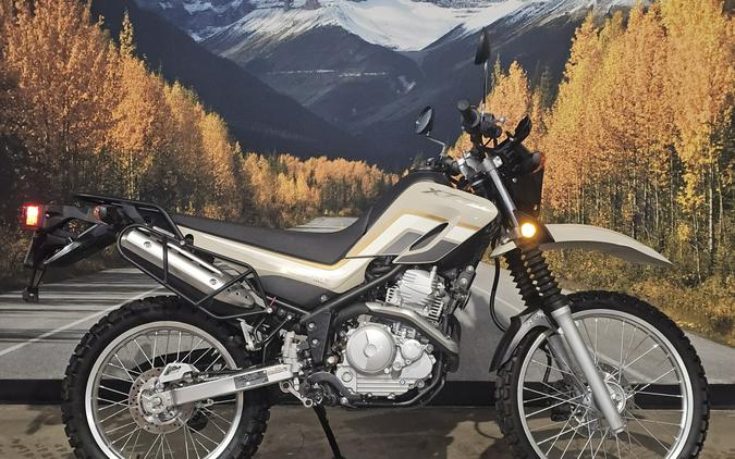 2020 Yamaha XT250 CA