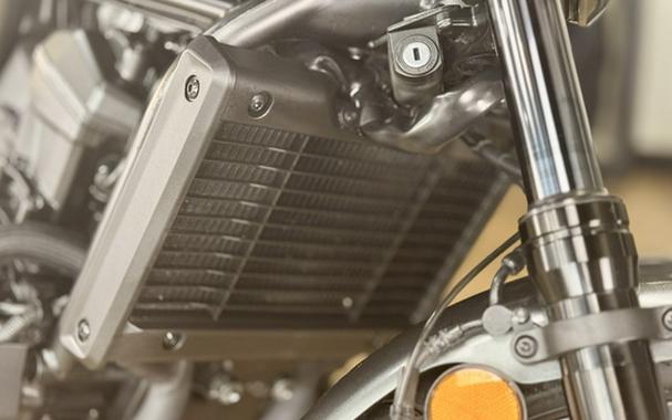 2025 Honda Rebel 1100DCT Touring ABS