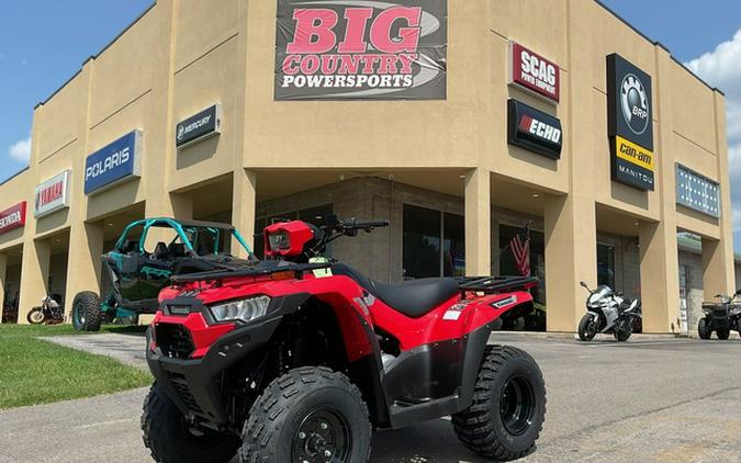 2026 Kawasaki Brute Force 300