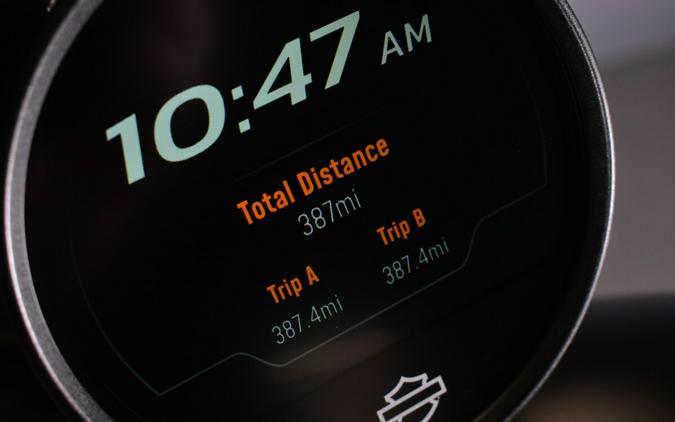 2024 Harley-Davidson Nightster Special