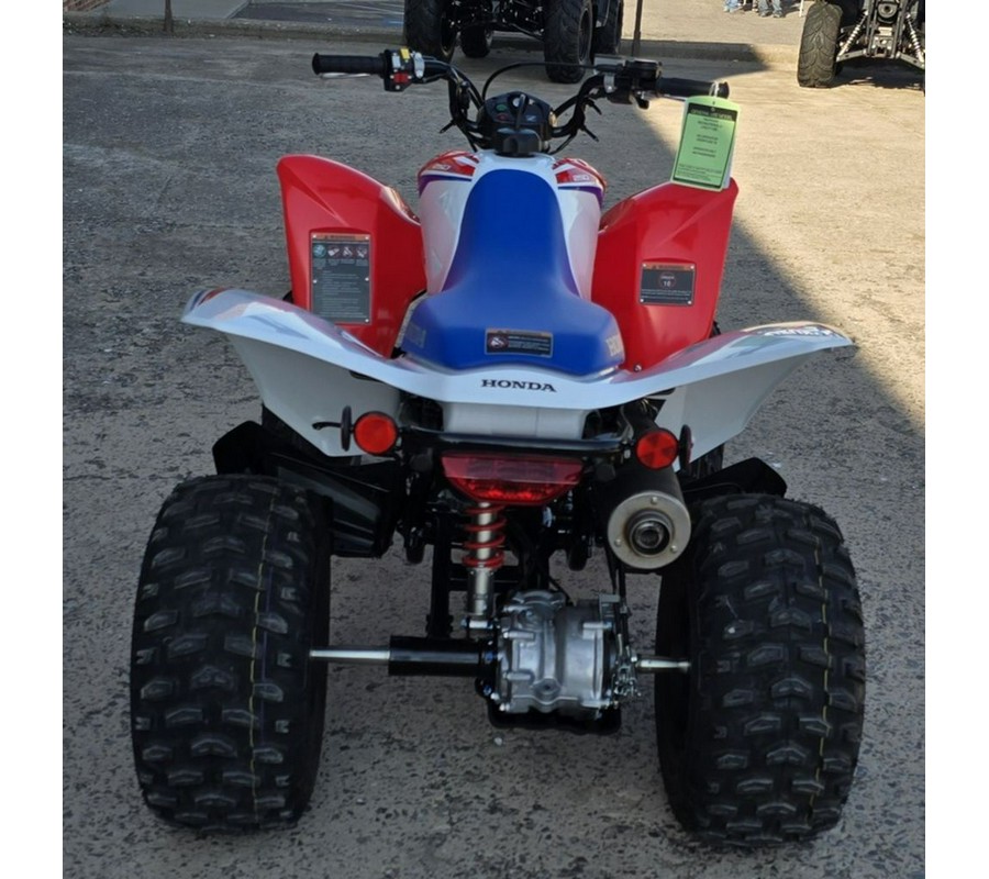 2026 Honda® TRX250X