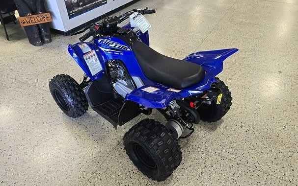 2026 Yamaha Raptor 110