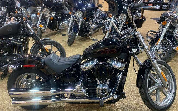 FXST 2023 Softail® Standard