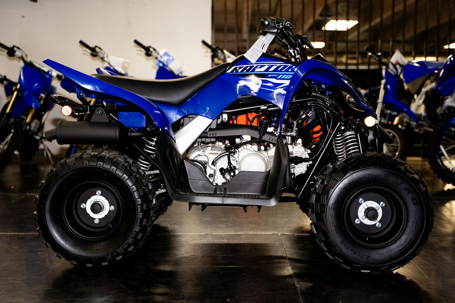 2026 Yamaha Raptor 110