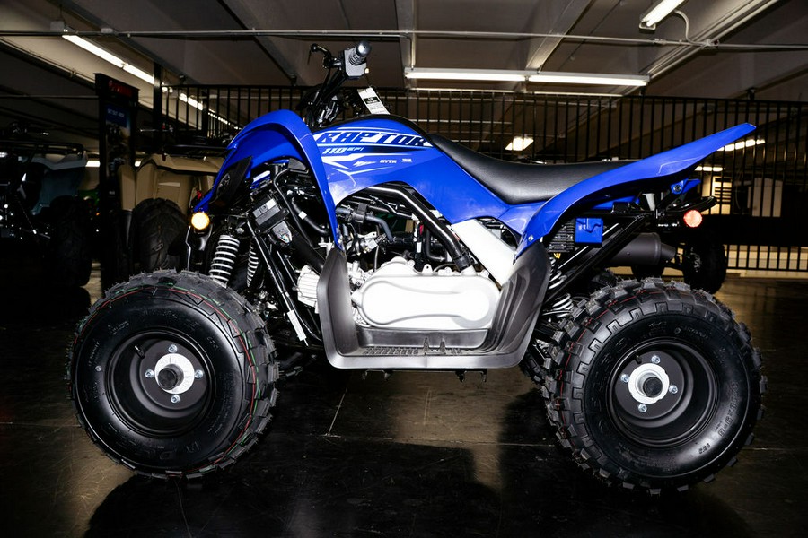 2026 Yamaha Raptor 110