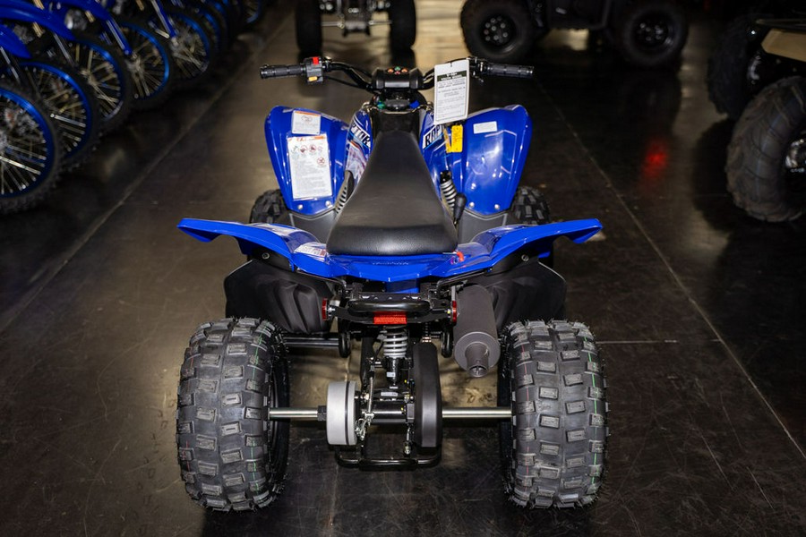 2026 Yamaha Raptor 110