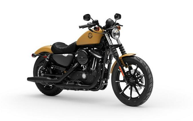 2019 Harley-Davidson XL 883N - Sportster Iron 883