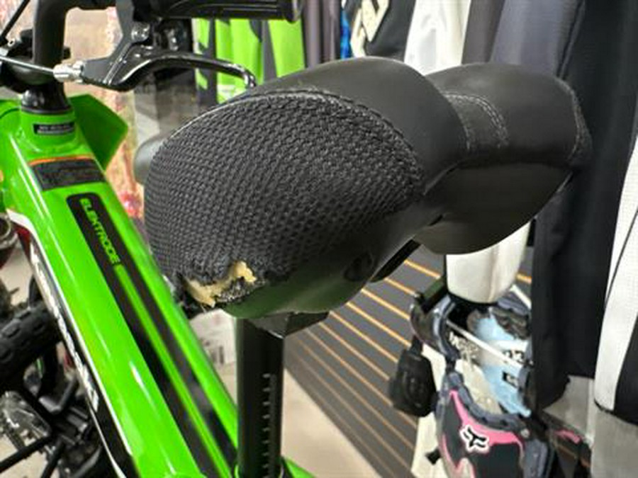 2023 Kawasaki Elektrode