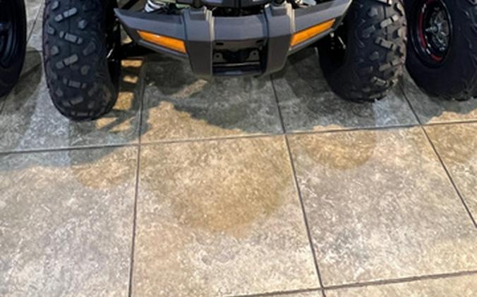 2025 Kayo Bull 300 EFI