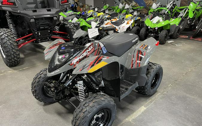 2022 Polaris® Phoenix 200