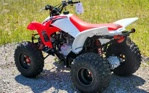 2024 Honda TRX250X