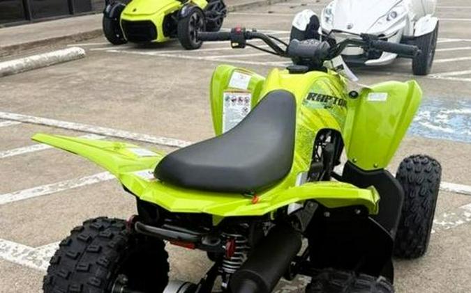 2026 Yamaha Raptor 110