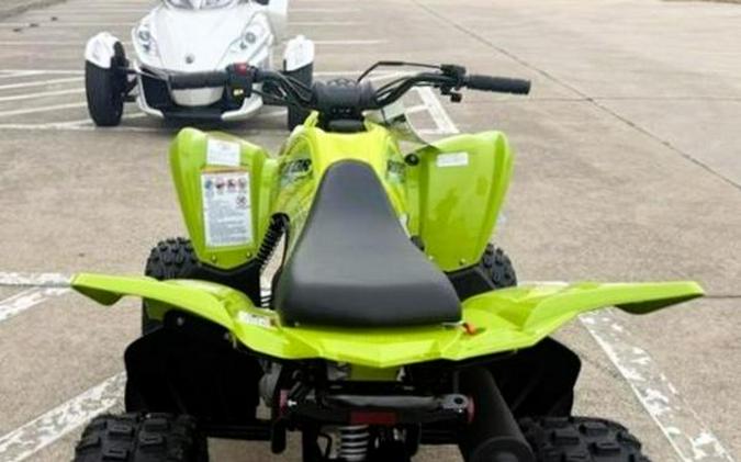 2026 Yamaha Raptor 110