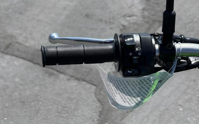 2026 Kawasaki KLX 300