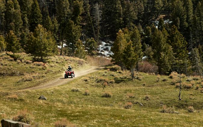 2027 CFMOTO CFORCE C6 Pro