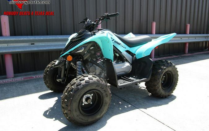 2024 Yamaha Raptor 110