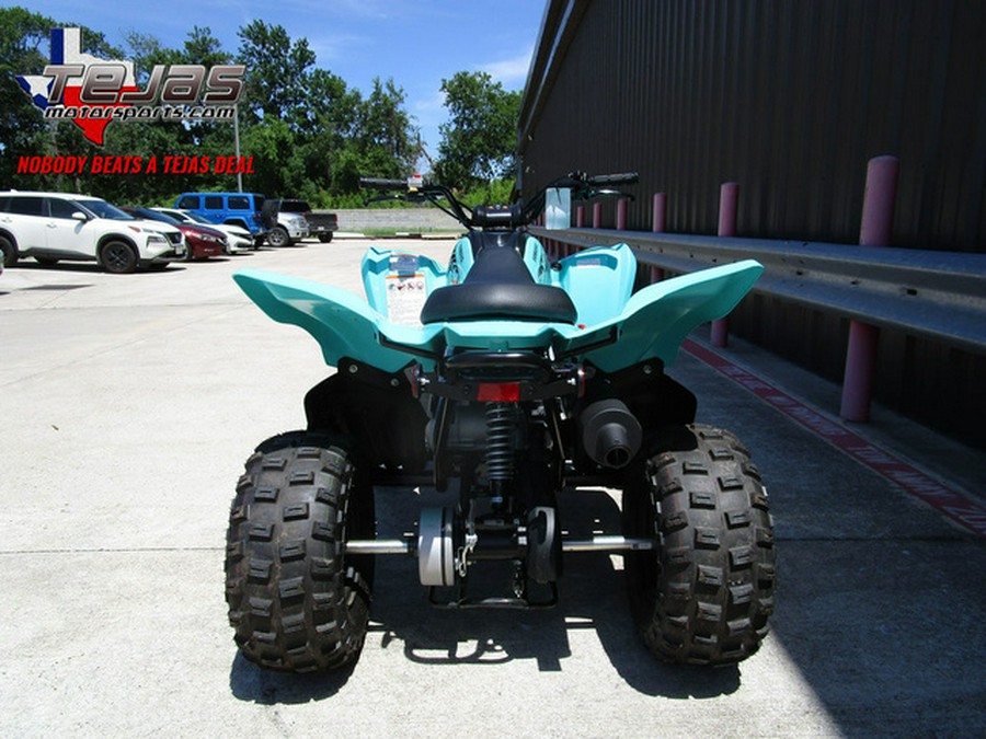 2024 Yamaha Raptor 110