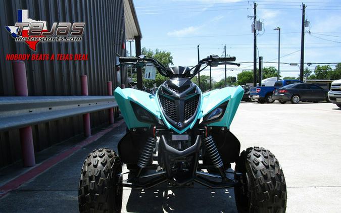 2024 Yamaha Raptor 110