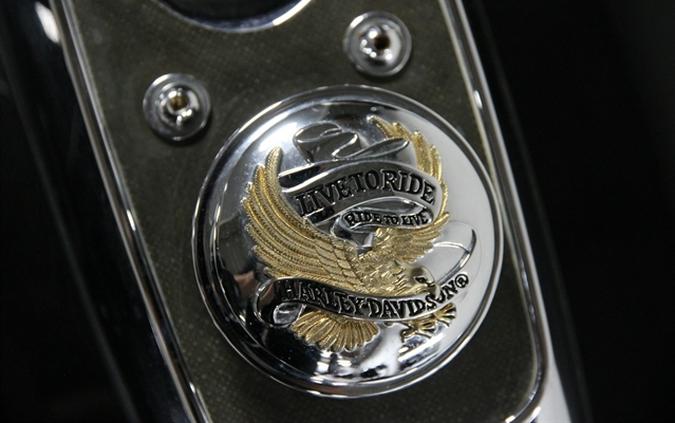 1992 HARLEY-DAVIDSON LOW RIDER SPORT EDITION