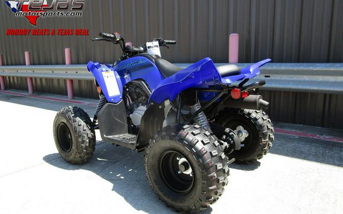 2024 Yamaha Raptor 110