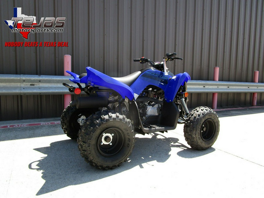 2024 Yamaha Raptor 110