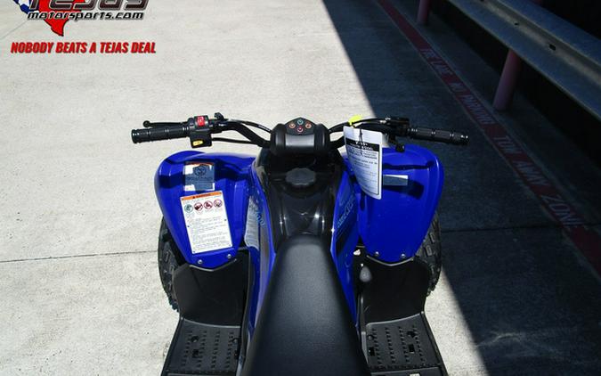 2024 Yamaha Raptor 110