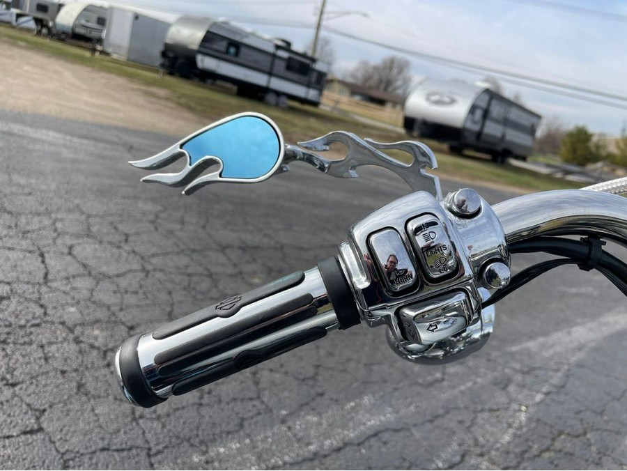 2006 FLSTF - Harley-Davidson®