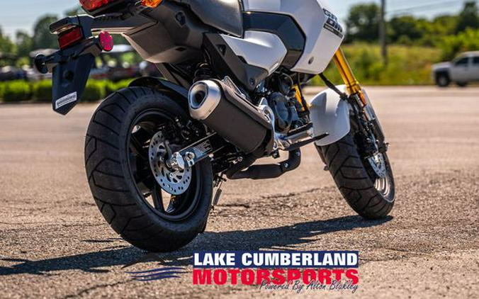 New 2025 Honda Grom Base