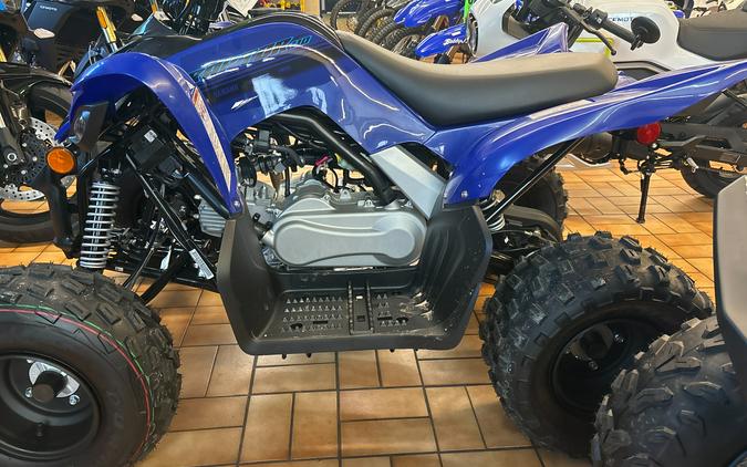 2024 Yamaha Raptor 110 BLUE