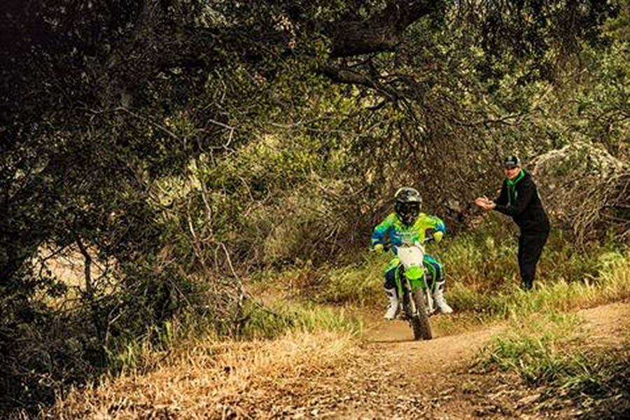 2019 Kawasaki KLX 110