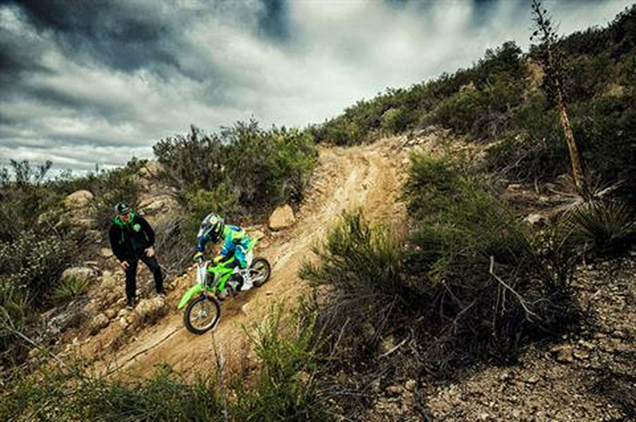 2019 Kawasaki KLX 110