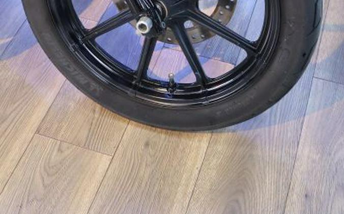 2019 Harley-Davidson XL1200NS Sportster Iron 1200