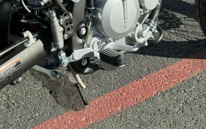 2026 Kawasaki KLX 300SM