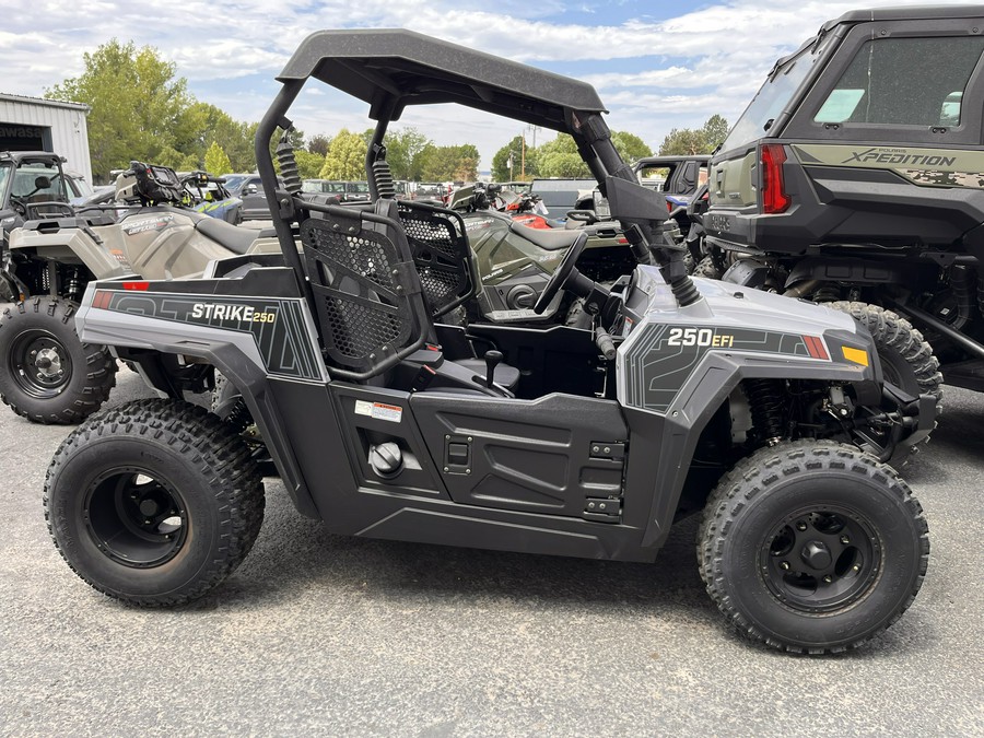 2021 Hisun Strike 250