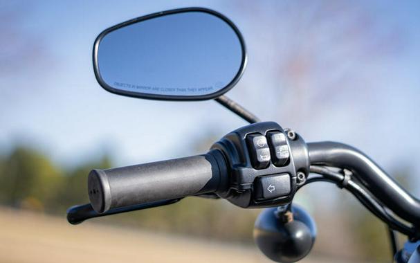 2021 Harley-Davidson® XL883N - Iron 883™