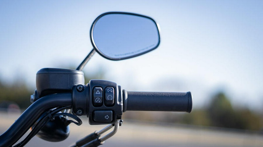 2021 Harley-Davidson® XL883N - Iron 883™