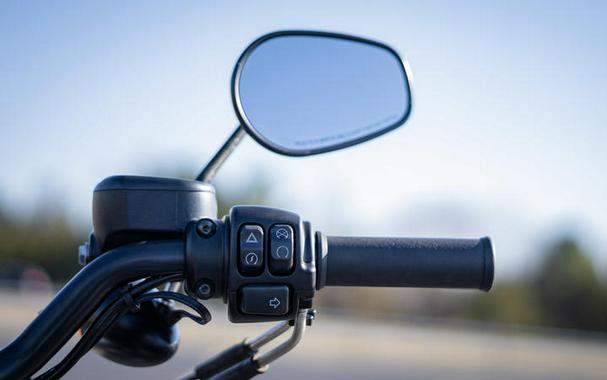 2021 Harley-Davidson® XL883N - Iron 883™