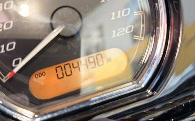 2022 Harley-Davidson Road Glide® Special