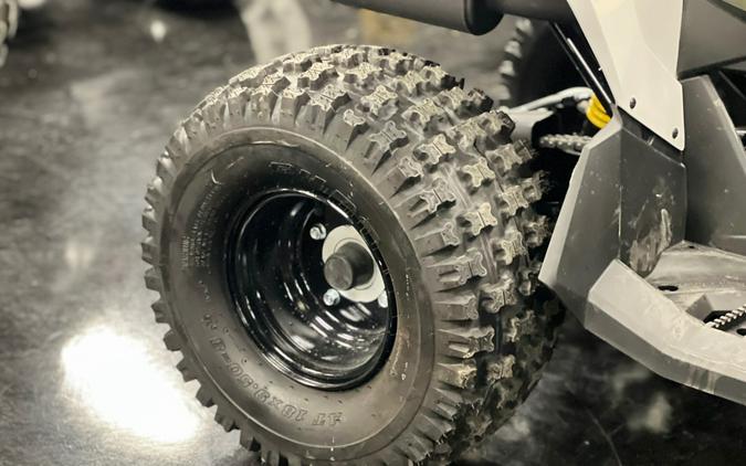 2026 Can-Am Renegade 110 EFI