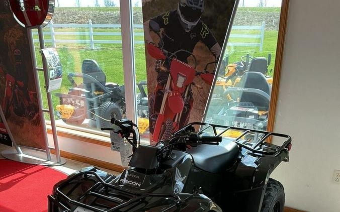 2026 Honda® TRX250X