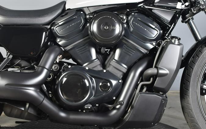 2025 Harley-Davidson Nightster Billiard Gray