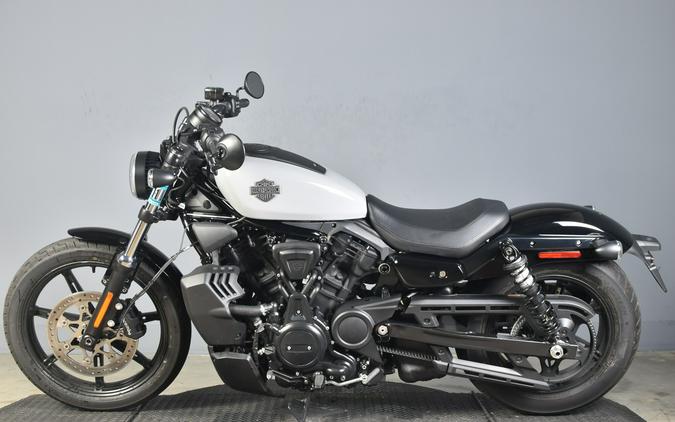 2025 Harley-Davidson Nightster Billiard Gray