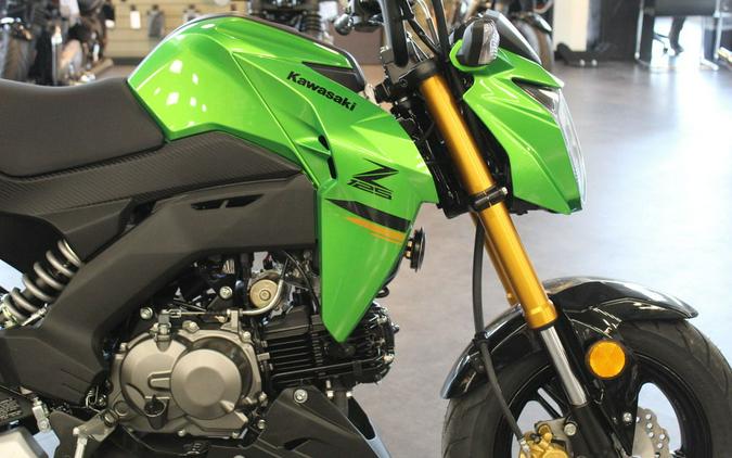 2024 Kawasaki Z125 PRO Base