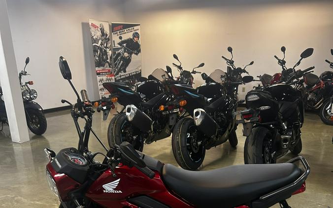 2024 Honda Navi Base