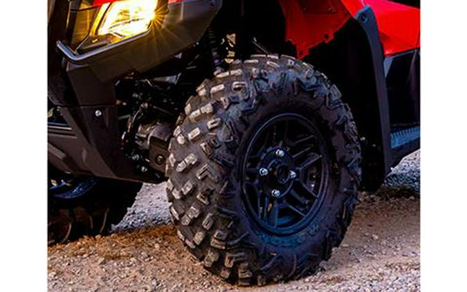 2025 Honda FourTrax Rubicon 700 4x4 Automatic