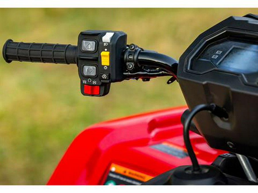 2025 Honda FourTrax Rubicon 700 4x4 Automatic